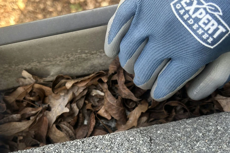 Gutter Cleaning Sylvan Springs