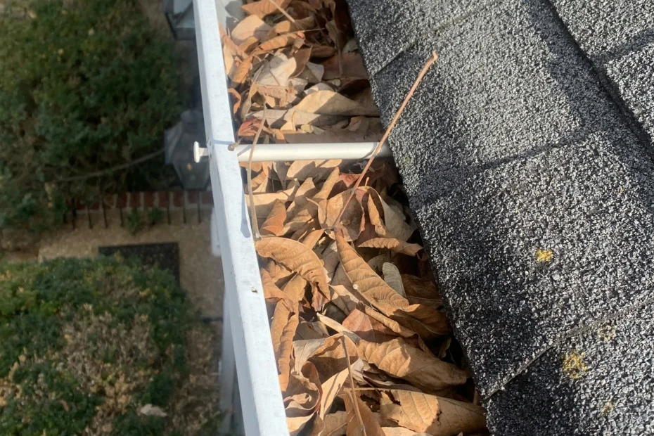 Gutter Cleaning Sylvan Springs